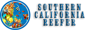 Southern California Reefer Auctions